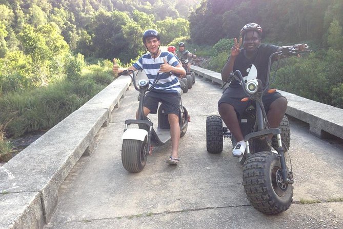 Scooter Tours Through Tsitsikamma National Park - Spotting Local Wildlife