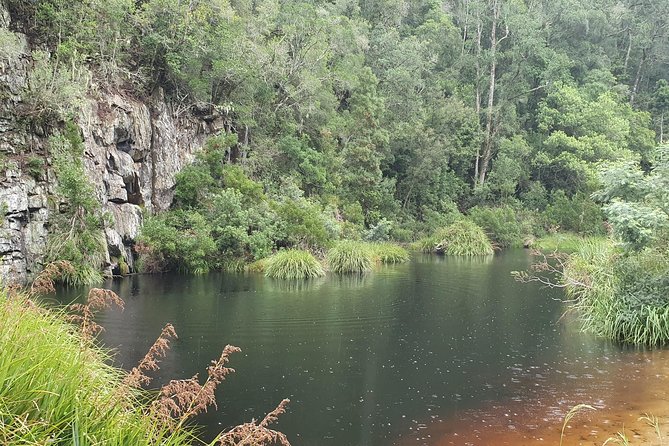 Scooter Tours Through Tsitsikamma National Park - Swim in Natural Pools