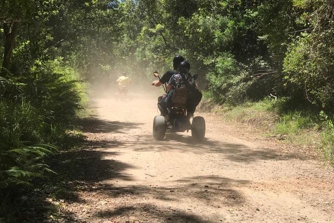 Scooter Tours Through Tsitsikamma National Park - Pricing and Inclusions