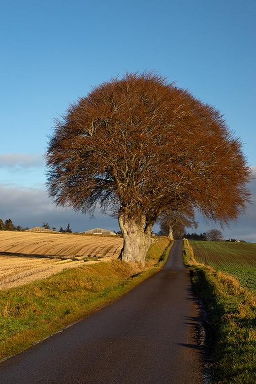 Scotland: Photography Private Tour With Pro Photographer - Learning Opportunities