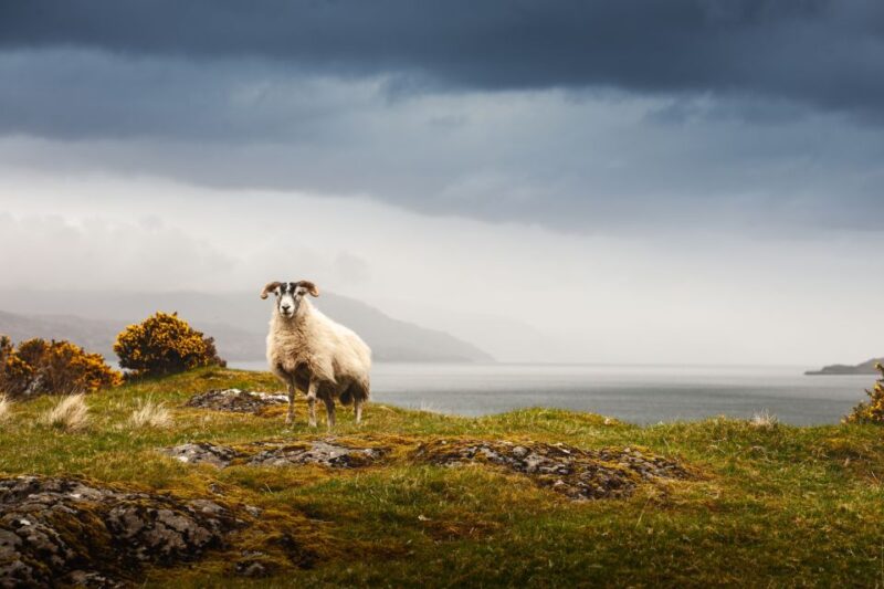 Scotland: West Highlands, Mull and Iona 4-Day Tour - Inclusions and Accommodation