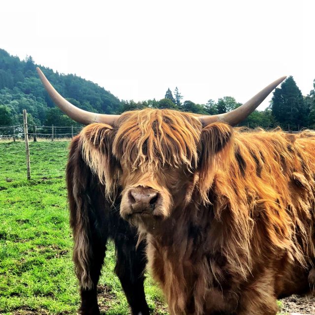 Scottish Highlands and Battle of Culloden - Key Points