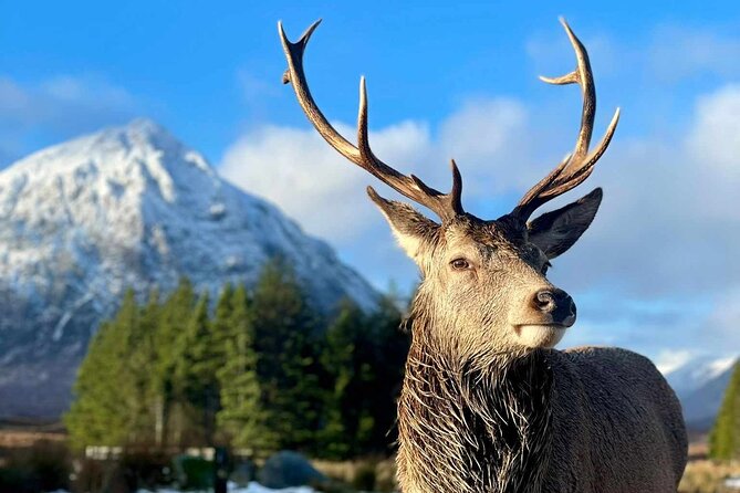 Scottish Highlands, Loch Ness and Glencoe Day Trip From Edinburgh - Itinerary
