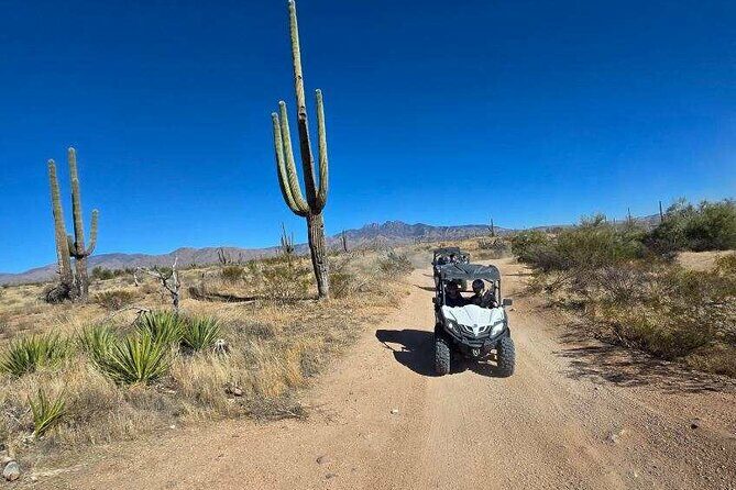 Scottsdale ATV/UTV 2 Person Sand Buggy Off-Road Desert Tour - Authentic Reviews: What Travelers Say