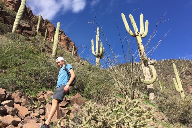 Scottsdale Desert Classic Guided Hiking Adventure - Activity Details and Requirements