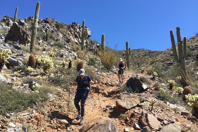 Scottsdale Desert Classic Guided Hiking Adventure - Exploration of the Sonoran Desert