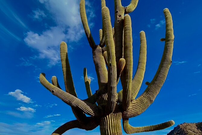 Scottsdale Desert Classic Guided Hiking Adventure - Booking and Cancellation Policy
