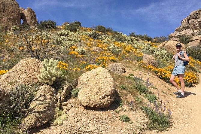 Scottsdale Desert Classic Guided Hiking Adventure - Additional Considerations