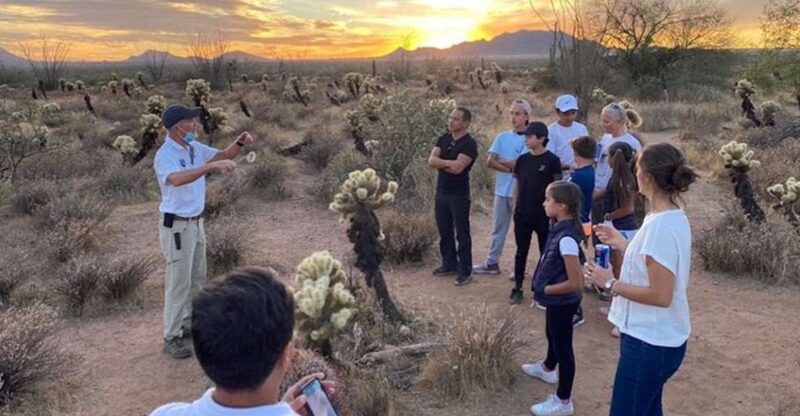 Scottsdale: McDowell Sonoran Preserve Hiking Tour - Cancellation and Refund Policy