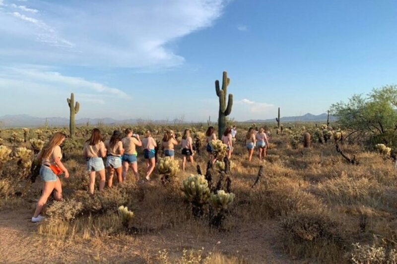 Scottsdale: McDowell Sonoran Preserve Hiking Tour - Guided Tour Expertise