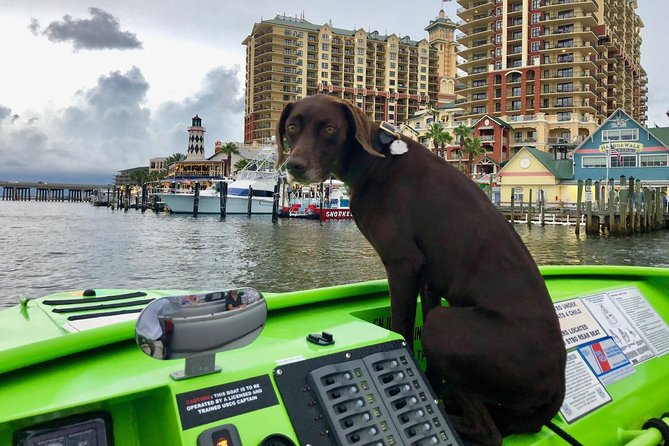 Scream Machine Sunset and Dolphin Beachfront Cruise - Meeting and Accessibility