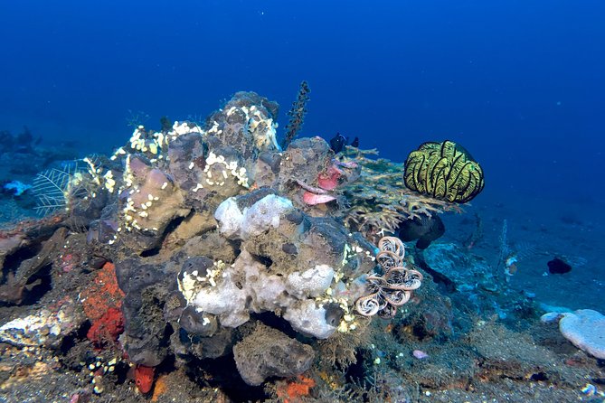 Scuba Certification - Training Locations