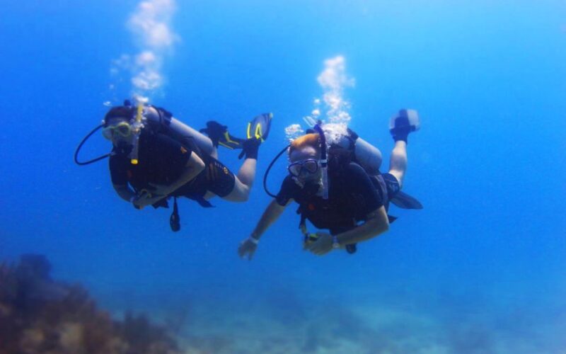 Scuba Certified Diving Immersion at Maroma Beach - Inclusions and Equipment