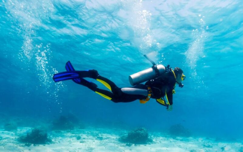 Scuba Certified Diving Immersion at Maroma Beach - Important Details