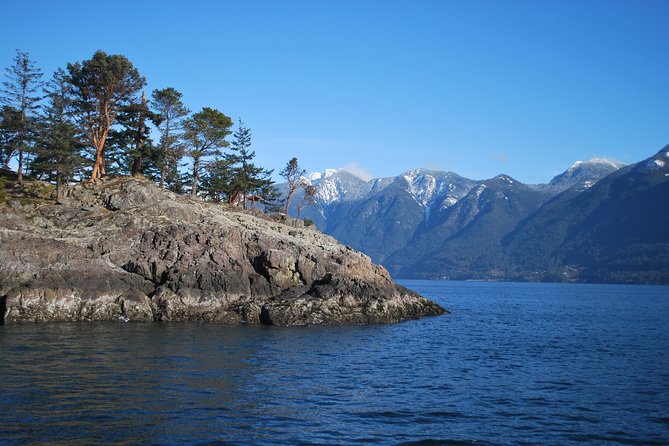 Scuba Dive Boat Charter in Vancouver (Certified Divers Only!) - Scuba Certification Requirements