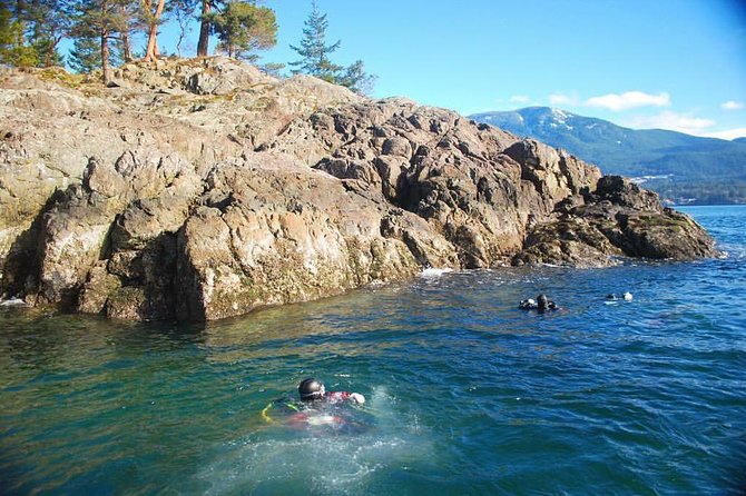 Scuba Dive Boat Charter in Vancouver (Certified Divers Only!) - Medical Considerations for Travelers