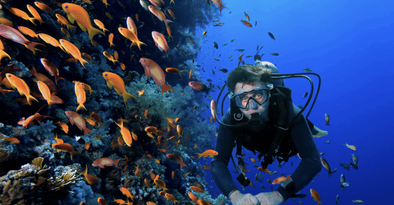 Scuba Dive in 1000 Steps - Overview of Activity