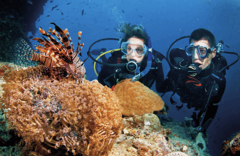 Scuba Dive in 1000 Steps - Safety Protocols
