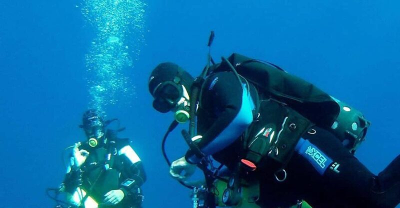 Scuba Dive in Anchor Ledge, Laje De Santos - Key Points
