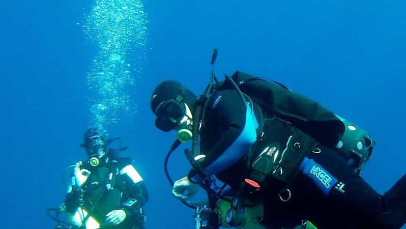 Scuba Dive in Anchor Ledge, Laje De Santos - Highlights of the Dive Site