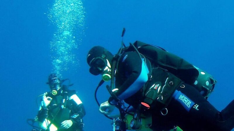 Scuba Dive in Anchor Ledge, Laje De Santos - Equipped for the Adventure