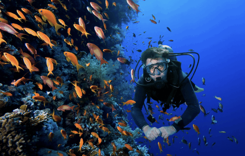 Scuba Dive in Big Wall (Vietnam) - Getting to the Dive Site