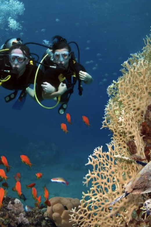 Scuba Dive in Big Wall (Vietnam) - Frequently Asked Questions