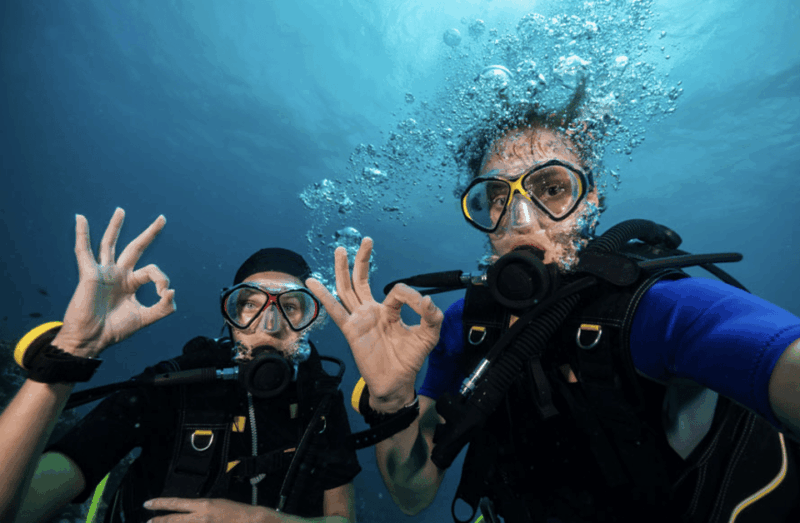 Scuba Dive in Fernando De Noronha - Key Points
