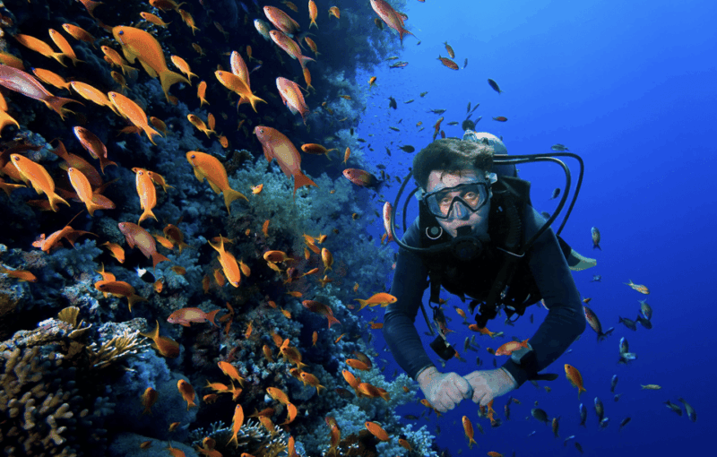 Scuba Dive in Fernando De Noronha - Volcanic Archipelago Diving Experience