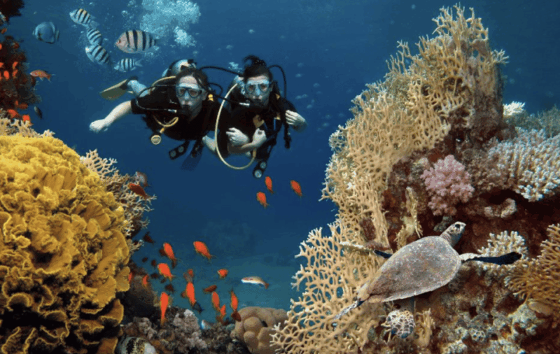 Scuba Dive in Fernando De Noronha - Getting to the Dive Sites