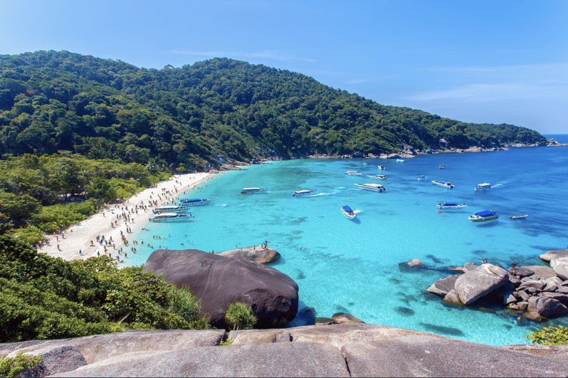 Scuba Dive in Madonna Rock, Nha Trang - Dive Experience