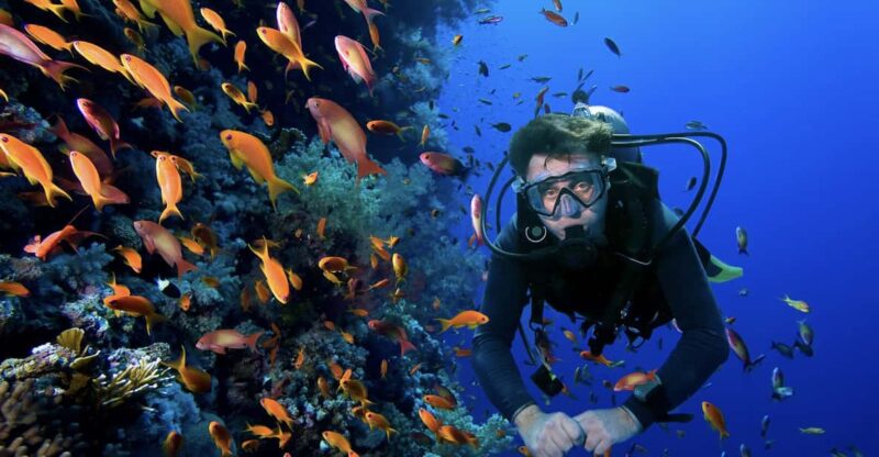 Scuba Dive in Rajah Ampat - Key Points