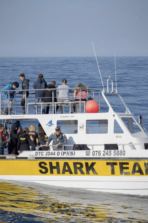 Scuba Dive in Shark Alley - Booking Details