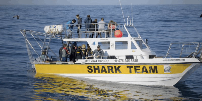 Scuba Dive in Shark Alley - Inclusions