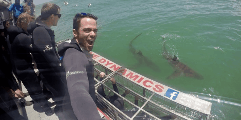 Scuba Dive in Shark Alley - Post-Dive Restrictions