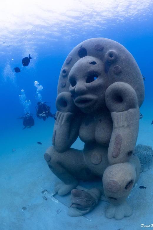 Scuba Dive in Sosua Cabarete - Preparation Tips