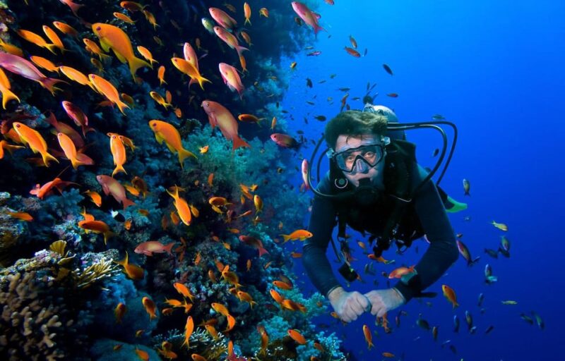 Scuba Dive in Sosua Cabarete - Cancellation Policy