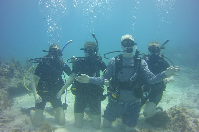 SCUBA Dive Key Largo Reef (Min 6 Divers) - Pricing and Booking