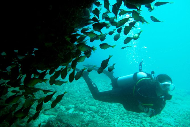 Scuba Dive Ningaloo Reef - Dive Site Selection