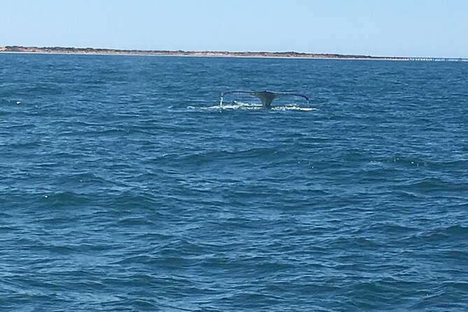 Scuba Dive Ningaloo Reef - Medical Considerations
