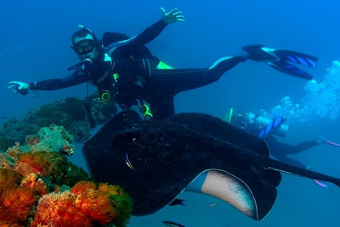 Scuba Dive the S.S. Yongala Wreck on the Great Barrier Reef. - Booking and Cancellation