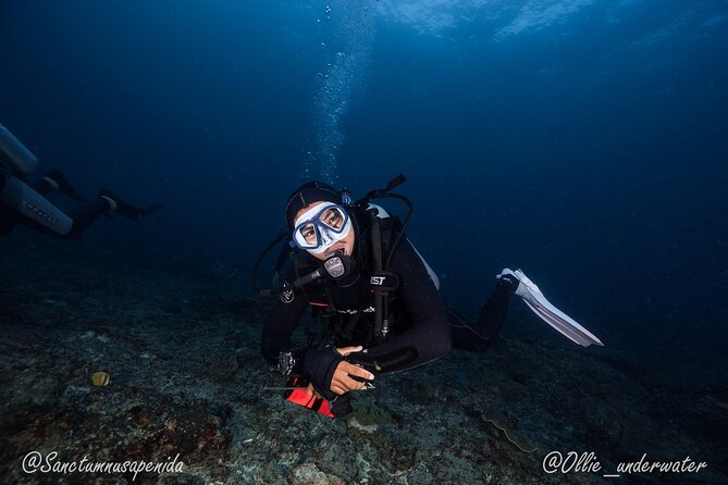 Scuba Dive With Manta Rays - Experience Details