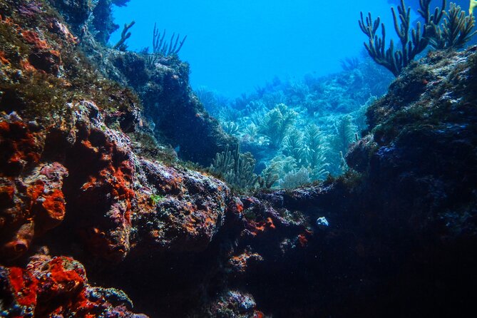 Scuba Diver Certification Course - Booking Information