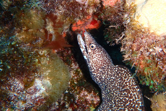 Scuba Diver Certification Course - Cancellation Policy