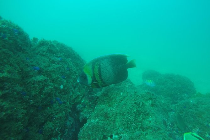 Scuba Diver Certification - Preparing for the Dive
