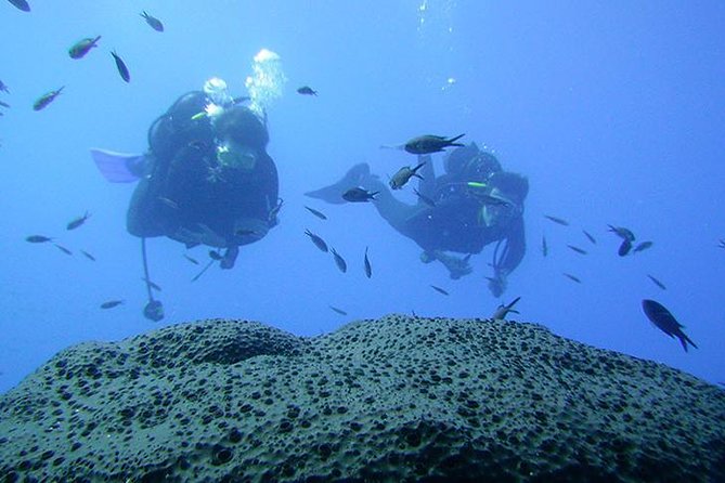 Scuba Diver Course - Diving Experience