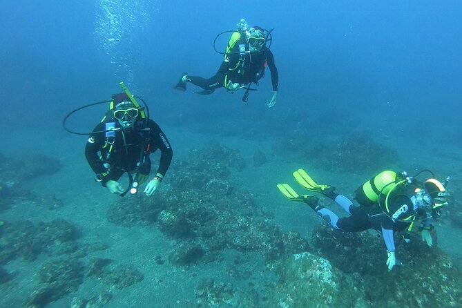 Scuba Diving - Dive Certification and Restrictions