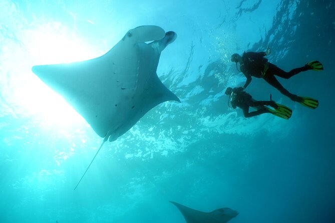 Scuba Diving 3 Dives Including Manta Rays at Nusa Penida - Inclusions and Amenities