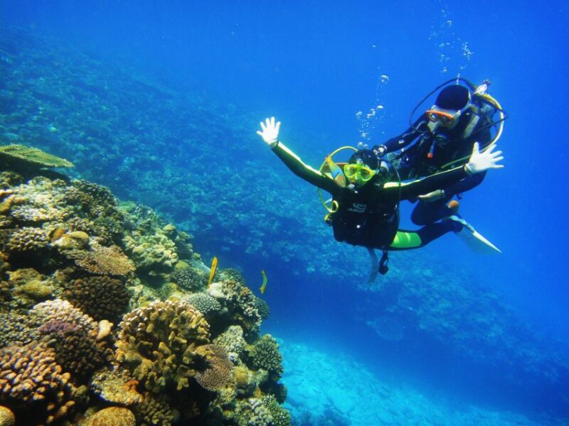 Scuba Diving 3 Islands Nha Trang Tour - Inclusions and Exclusions