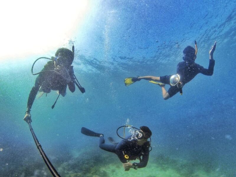 Scuba Diving 3 Islands Nha Trang Tour - Scuba Diving and Snorkeling